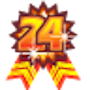 任務極限勳章：24